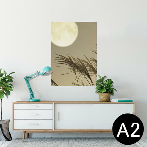 |X^[ EH[XebJ[ V[XebJ[  420×594mm A2 ʐ^ tHg  CeA   wall sticker poster 003164 ʐ^@iF@i