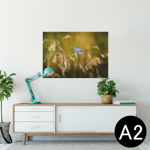 |X^[ EH[XebJ[ V[XebJ[  420×594mm A2 ʐ^ tHg  CeA   wall sticker poster 023045 X@R@iF