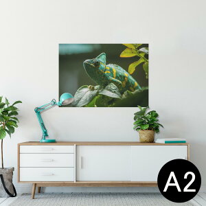 |X^[ EH[XebJ[ V[XebJ[  420×594mm A2 ʐ^ tHg  CeA   wall sticker poster 023102 COAi@ʐ^@