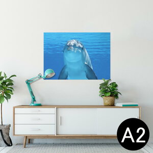 �|�X�^�[ �E�H�[���X�e�b�J�[ �V�[�����X�e�b�J�[ ���� 420×594mm A2 �ʐ^ �t�H�g �� �C���e���A ������� �������� wall sticker poster 023228 �C���J�@�����@�ʐ^