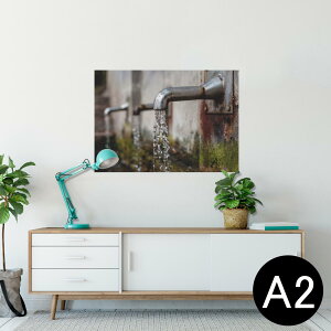 |X^[ EH[XebJ[ V[XebJ[  420×594mm A2 ʐ^ tHg  CeA   wall sticker poster 023267 @ʐ^@i