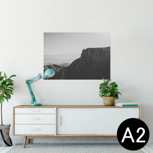 �|�X�^�[ �E�H�[���X�e�b�J�[ �V�[�����X�e�b�J�[ ���� 420×594mm A2 �ʐ^ �t�H�g �� �C���e���A ������� �������� wall sticker poster 023590 �R�@���m�N���@�i�F