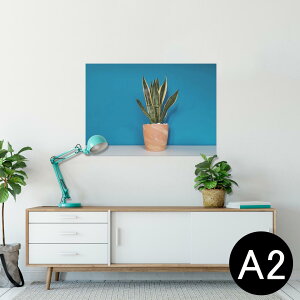 |X^[ EH[XebJ[ V[XebJ[  420×594mm A2 ʐ^ tHg  CeA   wall sticker poster 023685 A@A
