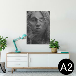 �|�X�^�[ �E�H�[���X�e�b�J�[ �V�[�����X�e�b�J�[ ���� 420×594mm A2 �ʐ^ �t�H�g �� �C���e���A ������� �������� wall sticker poster 023694 �l���@�����@���m�N��