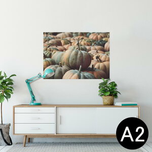 |X^[ EH[XebJ[ V[XebJ[  420×594mm A2 ʐ^ tHg  CeA   wall sticker poster 023702 ڂ@nEB@ʐ^