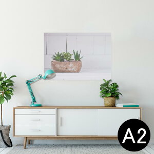 |X^[ EH[XebJ[ V[XebJ[  420×594mm A2 ʐ^ tHg  CeA   wall sticker poster 023734 A@Aؔ@ʐ^