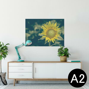 |X^[ EH[XebJ[ V[XebJ[  420×594mm A2 ʐ^ tHg  CeA   wall sticker poster 023850 ԁ@t[@Ђ܂