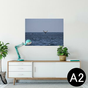 |X^[ EH[XebJ[ V[XebJ[  420×594mm A2 ʐ^ tHg  CeA   wall sticker poster 023965 @ʐ^@C