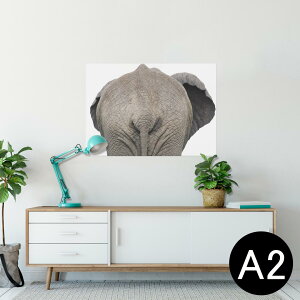 �|�X�^�[ �E�H�[���X�e�b�J�[ �V�[�����X�e�b�J�[ ���� 420×594mm A2 �ʐ^ �t�H�g �� �C���e���A ������� �������� wall sticker poster 024043 ���� �]�E�@���K