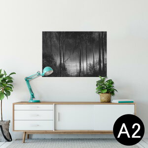 |X^[ EH[XebJ[ V[XebJ[  420×594mm A2 ʐ^ tHg  CeA   wall sticker poster 025587 Xс@mN@