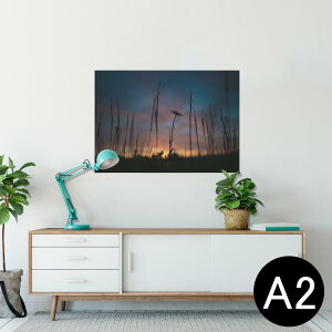 |X^[ EH[XebJ[ V[XebJ[  420×594mm A2 ʐ^ tHg  CeA   wall sticker poster 025684 i@R@