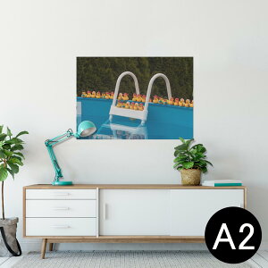 |X^[ EH[XebJ[ V[XebJ[  420×594mm A2 ʐ^ tHg  CeA   wall sticker poster 025719 v[@Ђ@