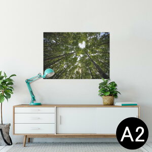 |X^[ EH[XebJ[ V[XebJ[  420×594mm A2 ʐ^ tHg  CeA   wall sticker poster 025739 R@Xс@؁@n[g