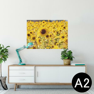 �|�X�^�[ �E�H�[���X�e�b�J�[ �V�[�����X�e�b�J�[ ���� 420×594mm A2 �ʐ^ �t�H�g �� �C���e���A ������� �������� wall sticker poster 025772 �ԁ@�Ђ܂�蔨�@��