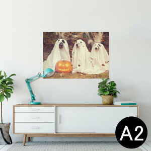 |X^[ EH[XebJ[ V[XebJ[  420×594mm A2 ʐ^ tHg  CeA   wall sticker poster 025809 nEB@ڂ@Halloween@@