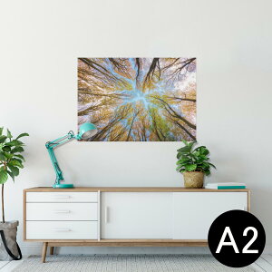 |X^[ EH[XebJ[ V[XebJ[  420×594mm A2 ʐ^ tHg  CeA   wall sticker poster 025927 Xс@؁@R