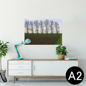 |X^[ EH[XebJ[ V[XebJ[  420×594mm A2 ʐ^ tHg  CeA   wall sticker poster 026013 ؁@R@i@