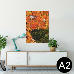 |X^[ EH[XebJ[ V[XebJ[  420×594mm A2 ʐ^ tHg  CeA   wall sticker poster 004615 gt@H@i
