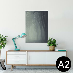 |X^[ EH[XebJ[ V[XebJ[  420×594mm A2 ʐ^ tHg  CeA   wall sticker poster 005899 ʐ^@X@