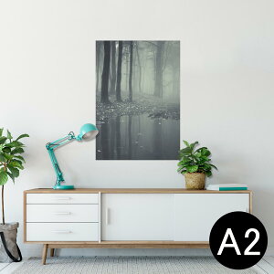 |X^[ EH[XebJ[ V[XebJ[  420×594mm A2 ʐ^ tHg  CeA   wall sticker poster 005900 ʐ^@X@