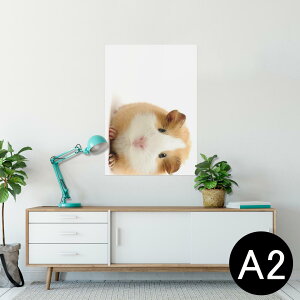 |X^[ EH[XebJ[ V[XebJ[  420×594mm A2 ʐ^ tHg  CeA   wall sticker poster 006036 Aj} ʐ^@@nX^[