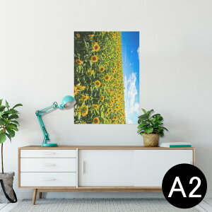 |X^[ EH[XebJ[ V[XebJ[  420×594mm A2 ʐ^ tHg  CeA   wall sticker poster 007936 ʐ^@ԁ@@@Ђ܂