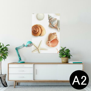 |X^[ EH[XebJ[ V[XebJ[  420×594mm A2 ʐ^ tHg  CeA   wall sticker poster 009662 Lk@C@l