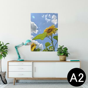 |X^[ EH[XebJ[ V[XebJ[  420×594mm A2 ʐ^ tHg  CeA   wall sticker poster 011366 ԁ@Ђ܂@ʐ^