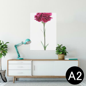 |X^[ EH[XebJ[ V[XebJ[  420×594mm A2 ʐ^ tHg  CeA   wall sticker poster 012933 ̓@J[l[V@