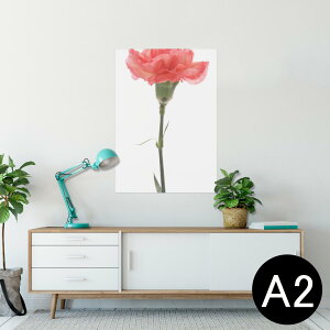 |X^[ EH[XebJ[ V[XebJ[  420×594mm A2 ʐ^ tHg  CeA   wall sticker poster 012935 ̓@J[l[V@