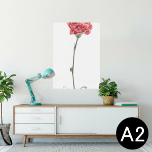 |X^[ EH[XebJ[ V[XebJ[  420×594mm A2 ʐ^ tHg  CeA   wall sticker poster 012937 ̓@J[l[V@