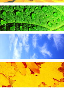 |X^[ EH[XebJ[ V[XebJ[  420×594mm A2 ʐ^ tHg  CeA   wall sticker poster 014084 ā@Ђ܂@