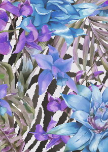 |X^[ EH[XebJ[ V[XebJ[  420×594mm A2 ʐ^ tHg  CeA   wall sticker poster 014645 ԁ@[u@