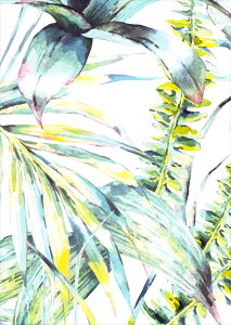 �|�X�^�[ �E�H�[���X�e�b�J�[ �V�[�����X�e�b�J�[ ���� 420×594mm A2 �ʐ^ �t�H�g �� �C���e���A ������� �������� wall sticker poster 014664 ���[�t�@�{�^�j�J��