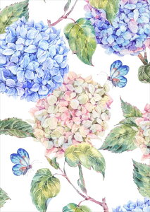 |X^[ EH[XebJ[ V[XebJ[  420×594mm A2 ʐ^ tHg  CeA   wall sticker poster 014672 ԁ@@AWTC