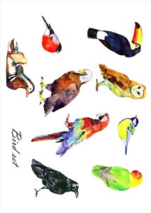 �|�X�^�[ �E�H�[���X�e�b�J�[ �V�[�����X�e�b�J�[ ���� 420×594mm A2 �ʐ^ �t�H�g �� �C���e���A ������� �������� wall sticker poster 014764 ���@�J���t���@bard