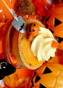 |X^[ EH[XebJ[ V[XebJ[  420×594mm A2 ʐ^ tHg  CeA   wall sticker poster 014823 ڂ@nEB@fU[g@XC[c