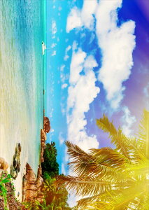 |X^[ EH[XebJ[ V[XebJ[  420×594mm A2 ʐ^ tHg  CeA   wall sticker poster 014987 iF@i@ā@C@썑@V̖