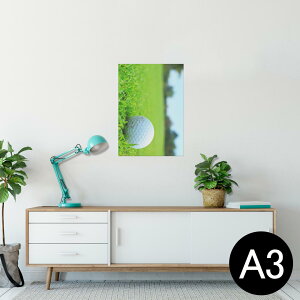 |X^[ EH[XebJ[ V[XebJ[  297×420mm A3 ʐ^ tHg  CeA   wall sticker poster 000255 St@Ő@X|[c