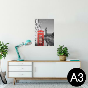 |X^[ EH[XebJ[ V[XebJ[  297×420mm A3 ʐ^ tHg  CeA   wall sticker poster 000923 i@X