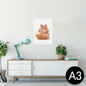ポスター ウォールステッカー シール式ステッカー 飾り 297×420mm A3 写真 フォト 壁 インテリア おしゃれ 剥がせる wall sticker poster 001075 ハムスター　動物