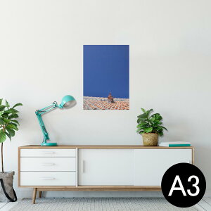 |X^[ EH[XebJ[ V[XebJ[  297×420mm A3 ʐ^ tHg  CeA   wall sticker poster 002774 @V[T[@ʐ^