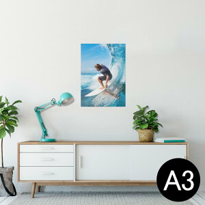|X^[ EH[XebJ[ V[XebJ[  297×420mm A3 ʐ^ tHg  CeA   wall sticker poster 002840 T[tB@Ol@l@C