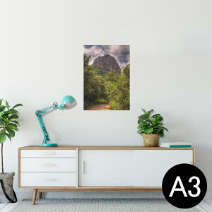 |X^[ EH[XebJ[ V[XebJ[  297×420mm A3 ʐ^ tHg  CeA   wall sticker poster 003266 N[ O@ʐ^@iF@i