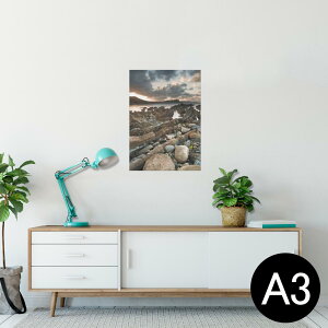 |X^[ EH[XebJ[ V[XebJ[  297×420mm A3 ʐ^ tHg  CeA   wall sticker poster 003281 N[ O@ʐ^@iF@i