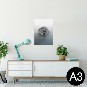 |X^[ EH[XebJ[ V[XebJ[  297×420mm A3 ʐ^ tHg  CeA   wall sticker poster 003319 N[ i@iF@Vv