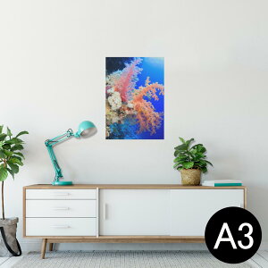 |X^[ EH[XebJ[ V[XebJ[  297×420mm A3 ʐ^ tHg  CeA   wall sticker poster 003341 C@ʐ^@iF@i