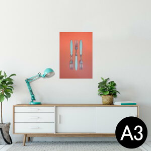 |X^[ EH[XebJ[ V[XebJ[  297×420mm A3 ʐ^ tHg  CeA   wall sticker poster 022926 ʐ^@H@tH[N