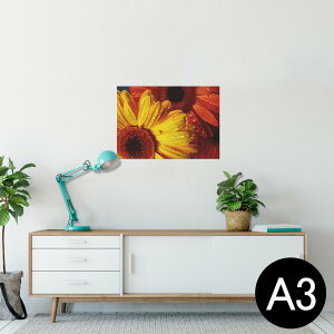|X^[ EH[XebJ[ V[XebJ[  297×420mm A3 ʐ^ tHg  CeA   wall sticker poster 023300 ԁ@t[@Ђ܂