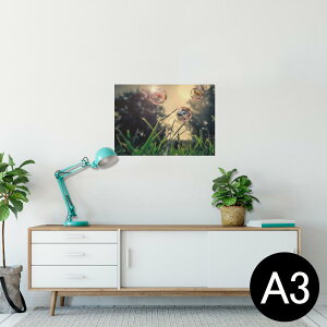 |X^[ EH[XebJ[ V[XebJ[  297×420mm A3 ʐ^ tHg  CeA   wall sticker poster 023404 ڂʁ@iF